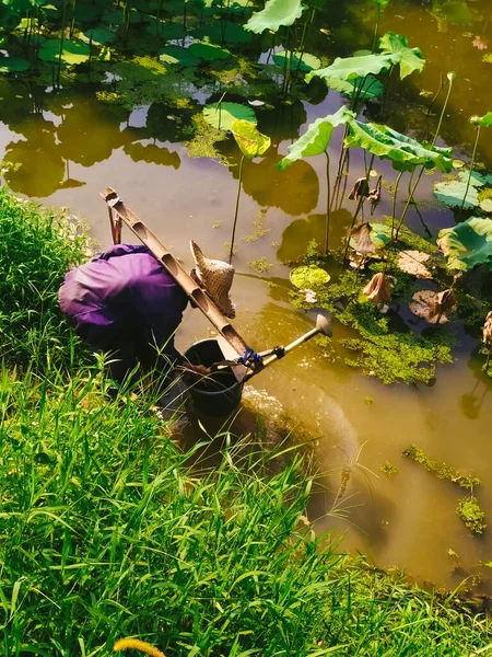 the fisherman is fishing in the pond