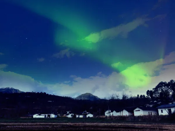 beautiful night sky with stars and green grass