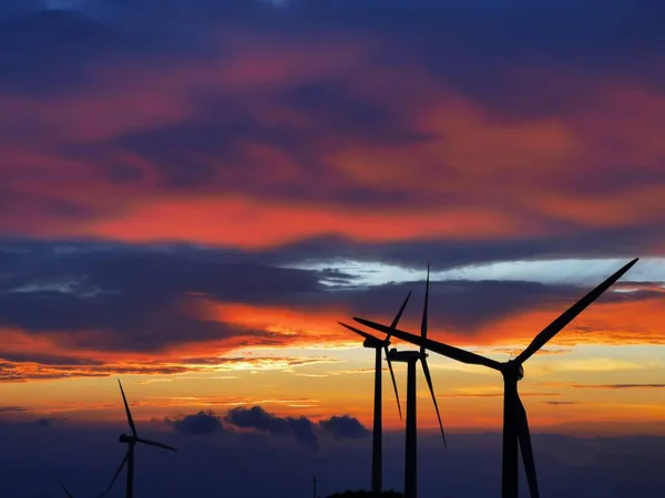 wind turbines in the sunset sky