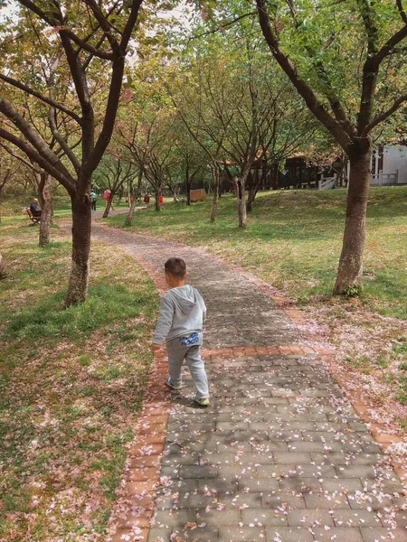 young man walking in the park