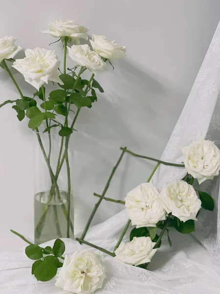 beautiful white roses in a vase on a light background