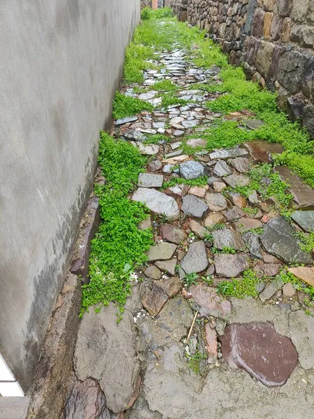 stone wall with green grass