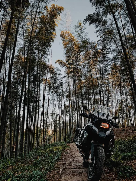 a man rides a motorcycle in the forest