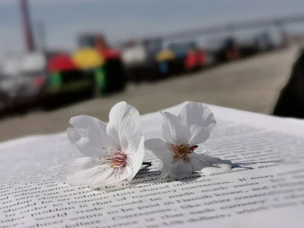 close up of a book with a white background