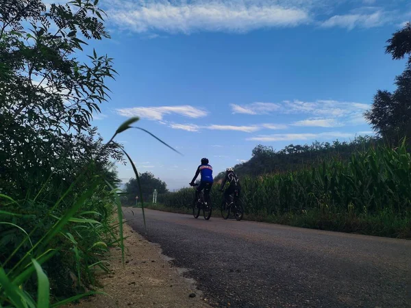 cyclist riding bicycle in the forest