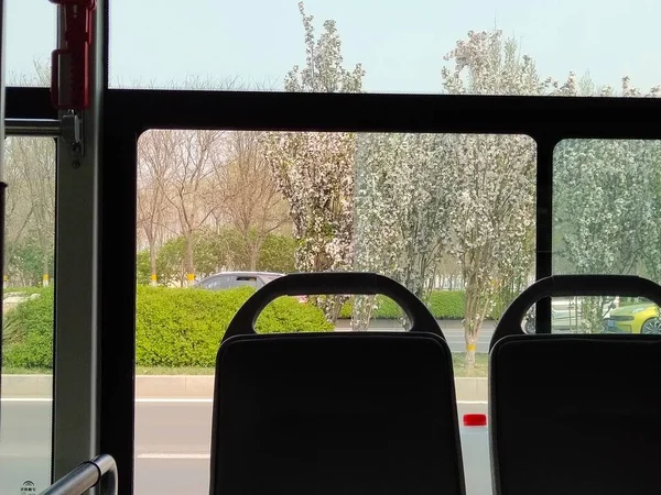 car window with a white bus