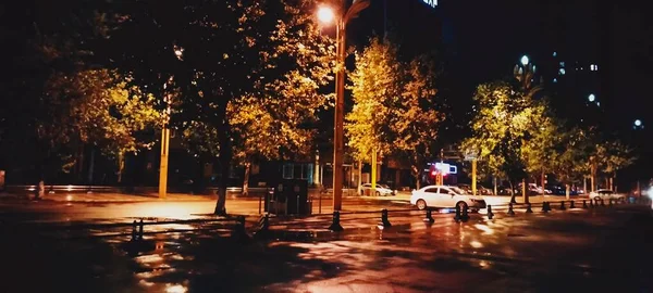 beautiful autumn park. city street with trees and leaves