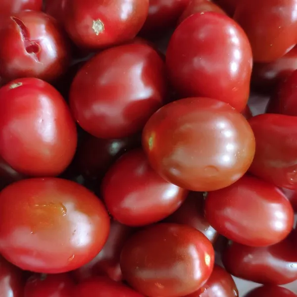 red tomatoes on a white background