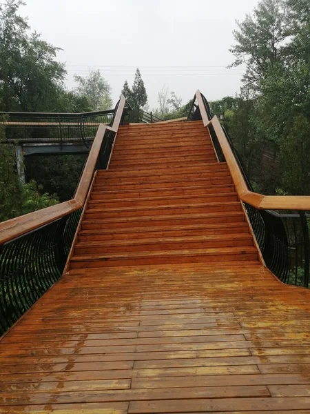 wooden bridge in the forest