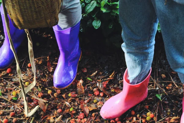 woman\'s boots in the garden