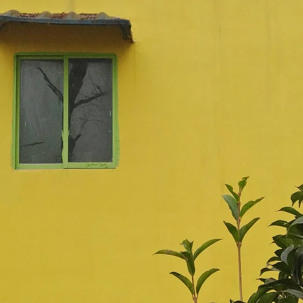old window with a green wall