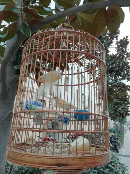 a small bird cage in the park
