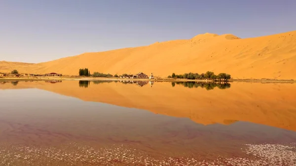 beautiful landscape of the desert in the morning