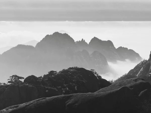 Hermoso Paisaje Las Montañas Niebla — Foto de Stock