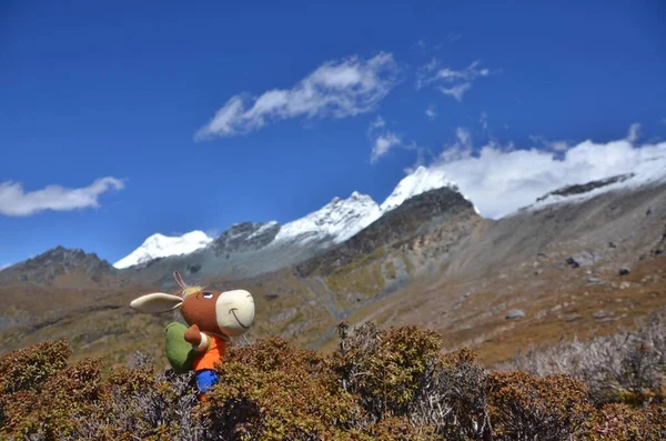 a man in a hat with a backpack on the background of the mountains