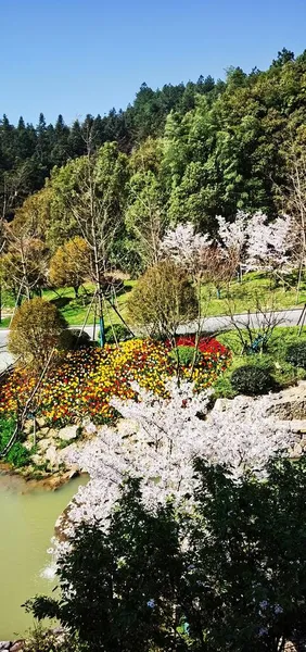 stock image beautiful view of the park in the city