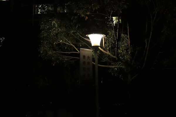 street lamp in the night