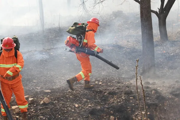 firefighters with a gun in the forest