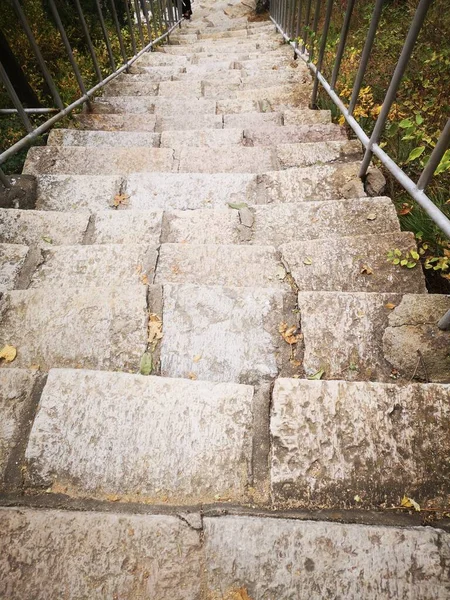 stone stairs in the park