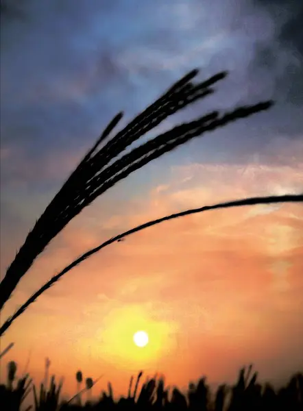 stock image sunset in the mountains