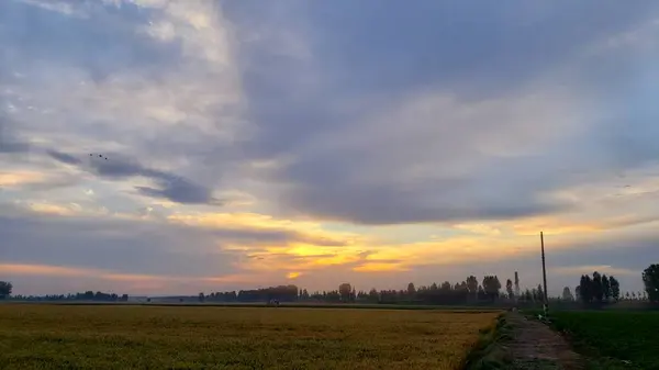 stock image beautiful sunset over the field