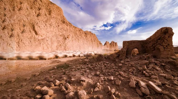 landscape of the desert in the utah