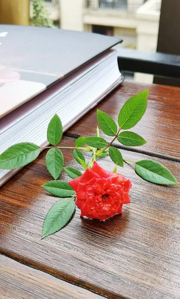 a book with a red rose on a wooden table