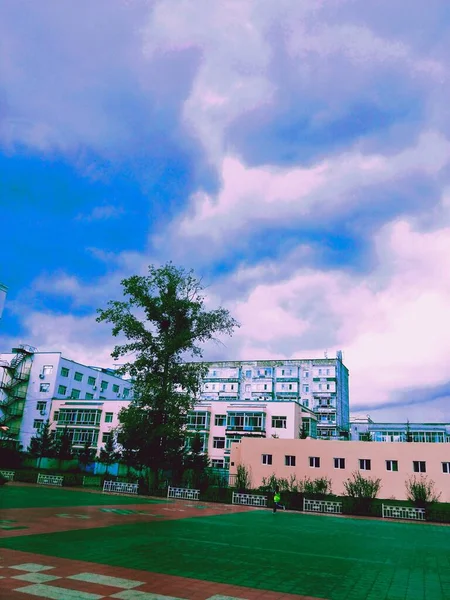 stock image view of the city of the park in the summer