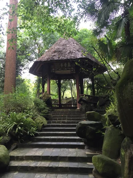 Hermoso Jardín Tropical Parque — Foto de Stock