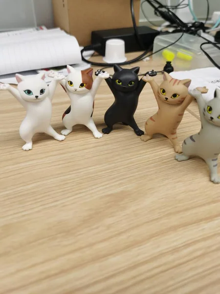 white cat and toy on a wooden table