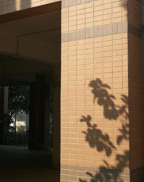 the shadow of a modern building
