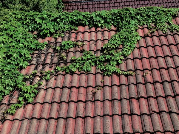 red roof tiles on the background of the house