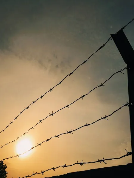 barbed wire against the sky