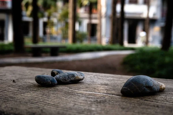 stone table with stones and green leaves