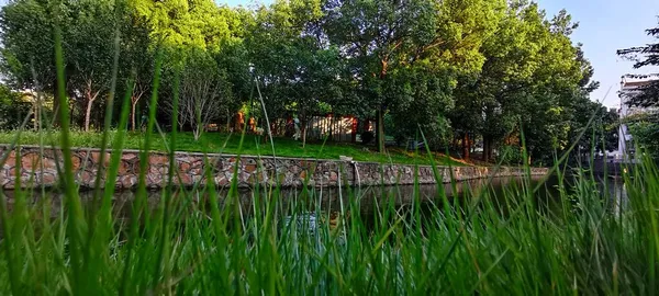 stock image beautiful view of the lake in the park