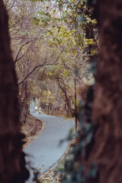 Hermosa Vista Del Parque — Foto de Stock