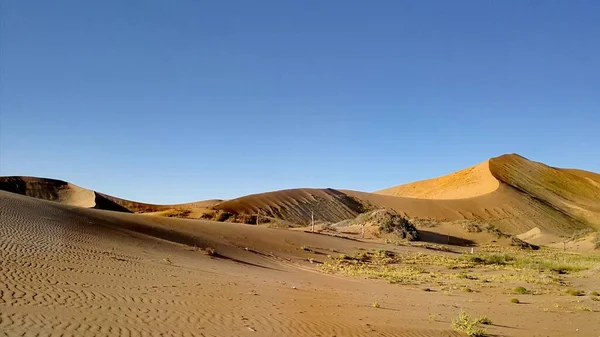beautiful landscape of the desert in the namib naukluft, namibia