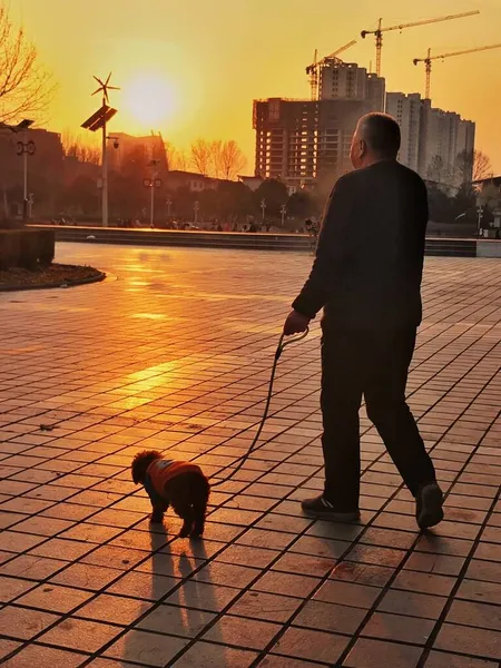 man in a black jacket with a dog on the roof of the city