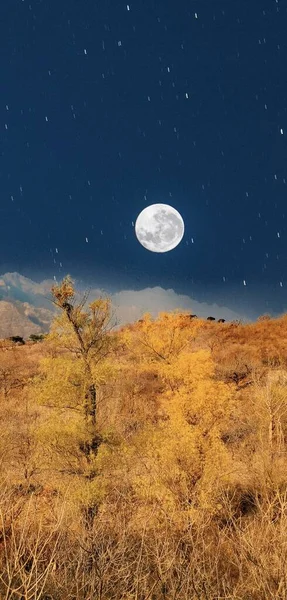beautiful night landscape with moon and stars