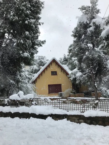 wooden house in the snow