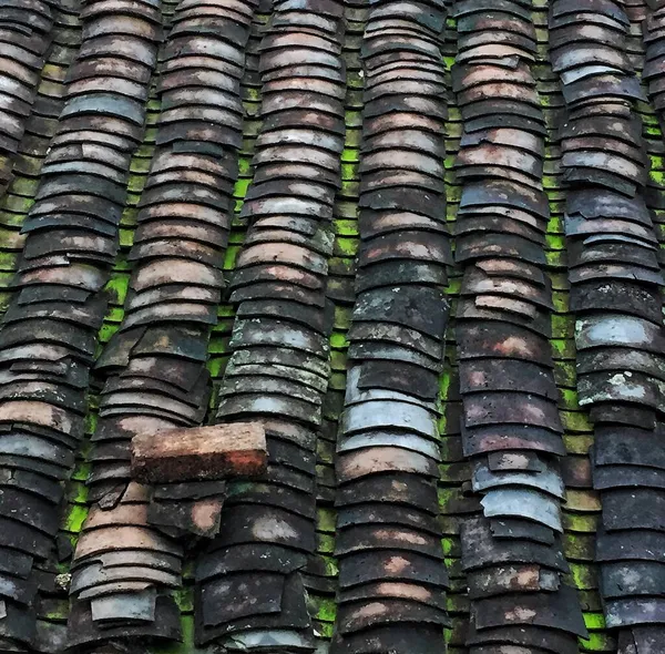 roof tiles in the city of thailand