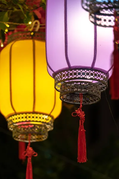 chinese lantern hanging on a tree