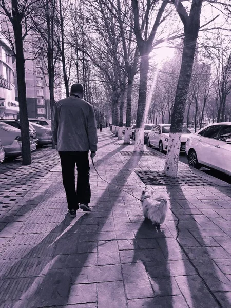 a man walks along the street in the city park
