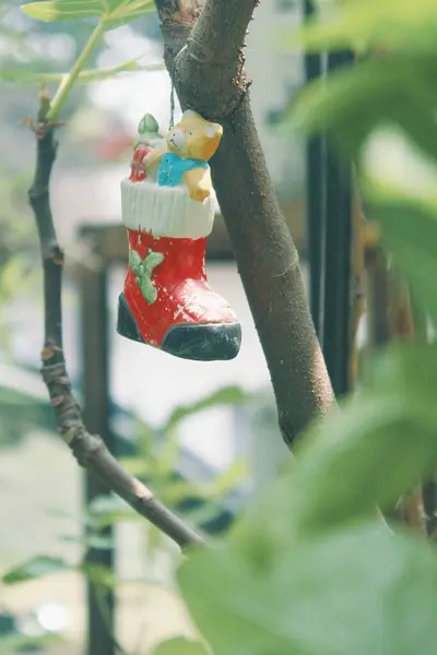 a pair of a baby boots hanging on a tree