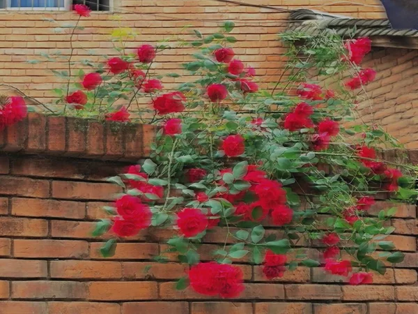 red brick wall with flowers