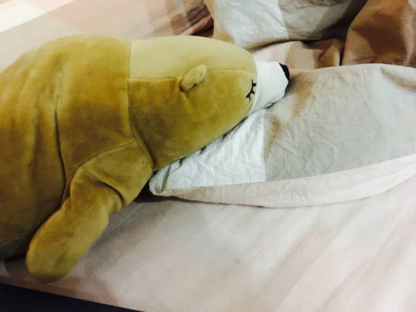 a closeup shot of a sleeping bear lying on a bed