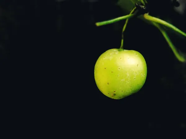 green apple on a black background