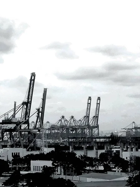 black and white image of a industrial factory