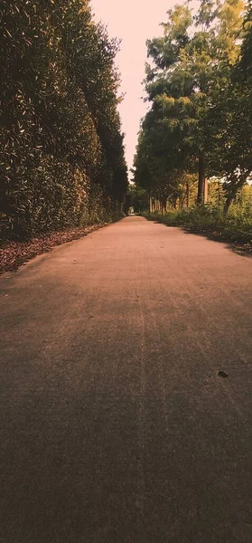 Hermosa Vista Del Parque — Foto de Stock