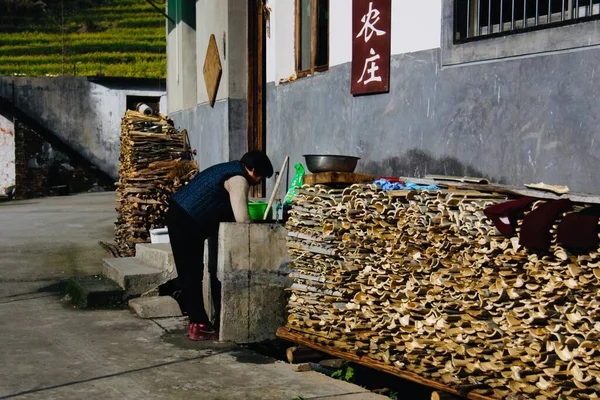 a pile of firewood for the production of the house